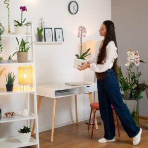 Feminine Home Energy Design